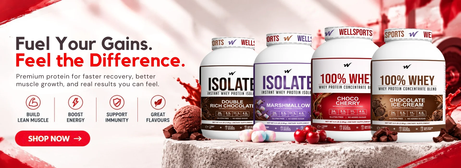 WellSports Banner 2